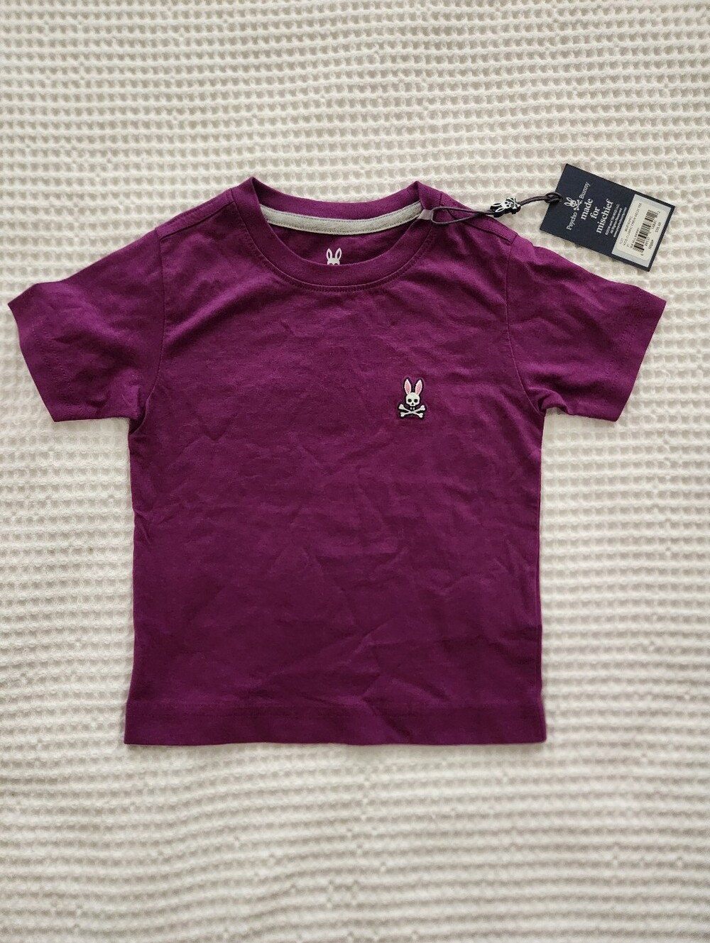 ✨️NWT psycho bunny Classic Crew Neck tee 2t Mulberry Purple